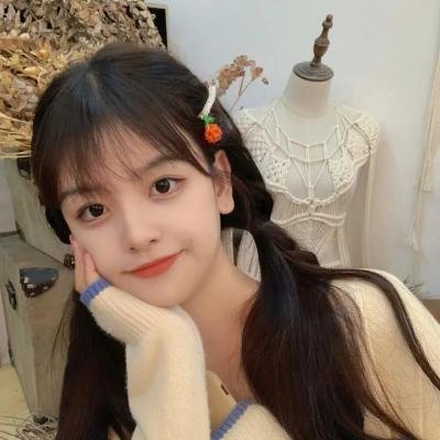 速度与激情：特工飞车手第一季